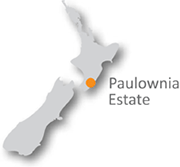 Paulownia, New Zealand